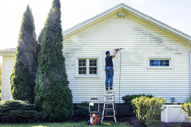 Best Driveway Pressure Washing  in Jal, NM